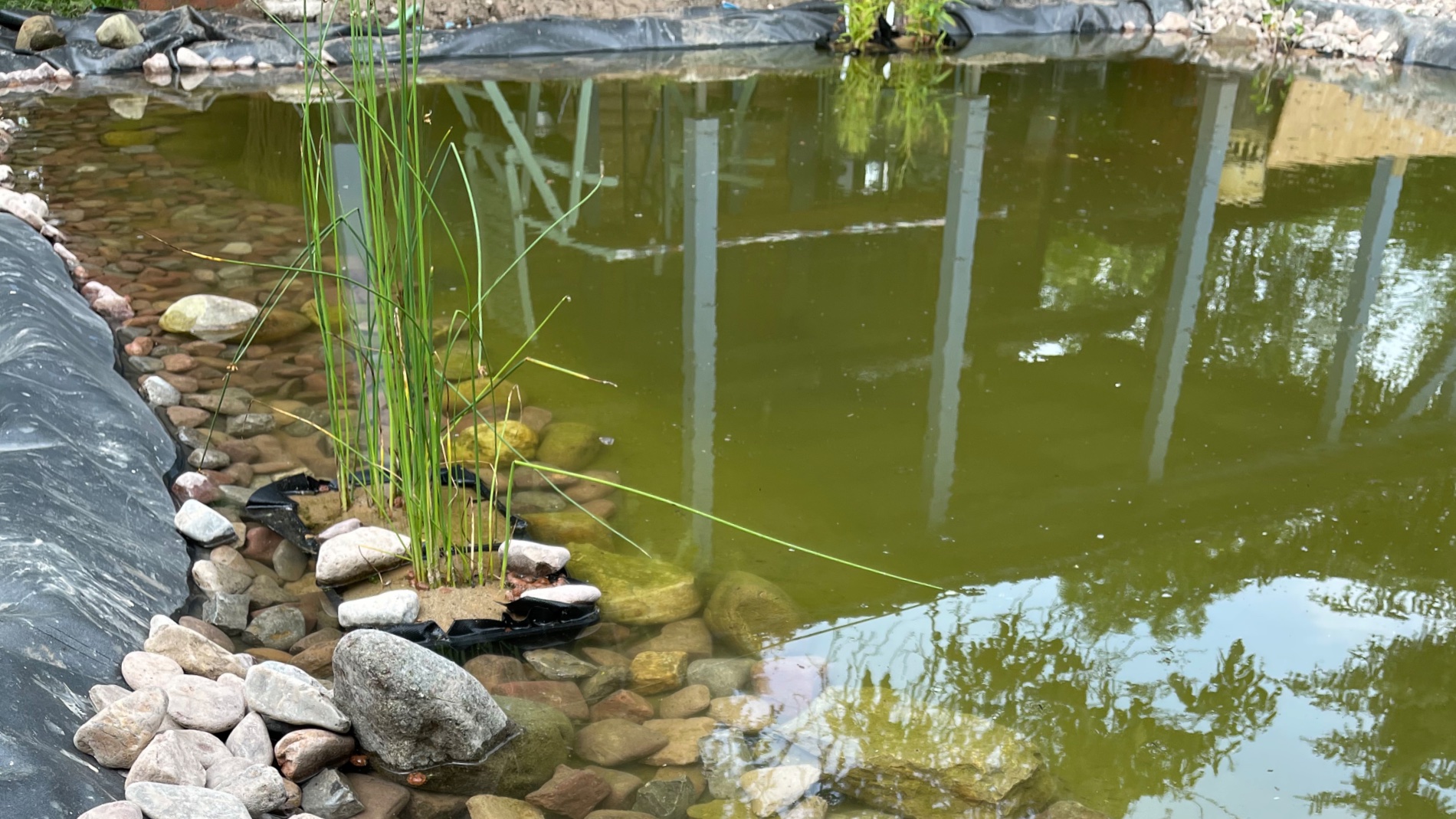 Ein Gartenteich – breiter, tiefer, besser?