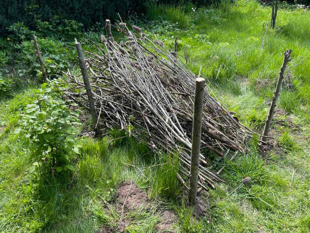 Die Hecke wird gefüllt