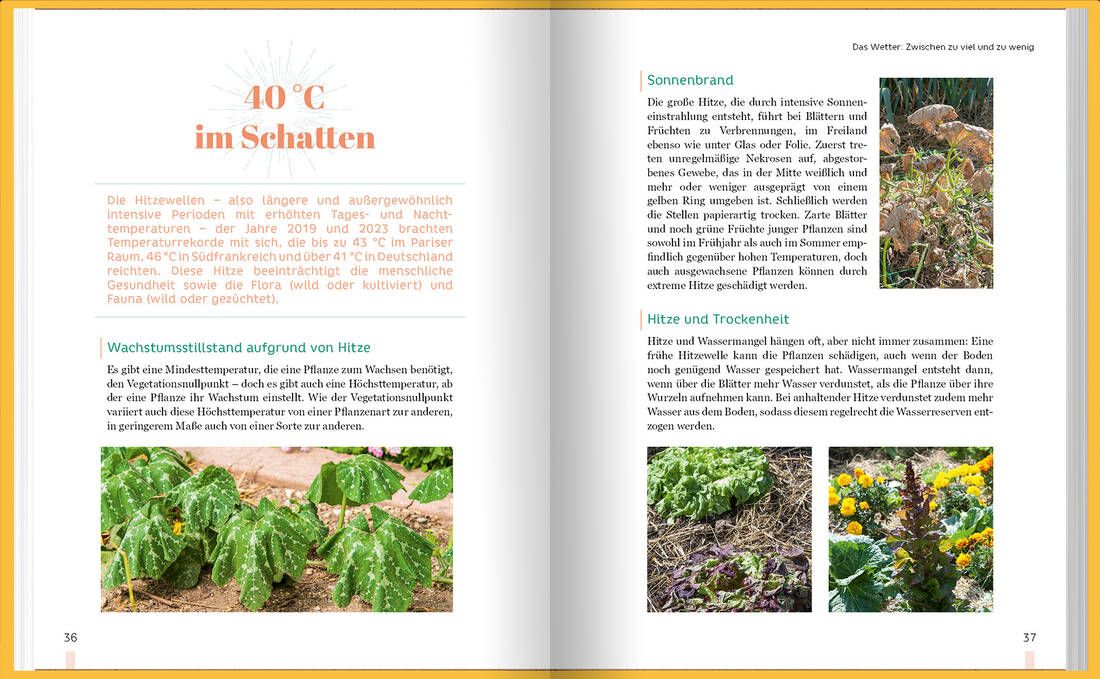 BU-004866-0-01-LWV-GR-3_12 DAs aufgeschlagene Buch lehnt an einem Totholzstamm