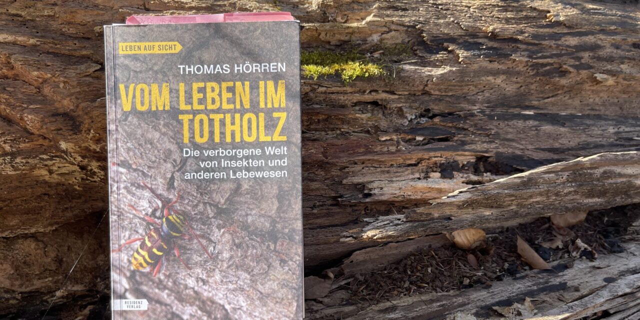 Thomas Hörren – Vom Leben im Totholz
