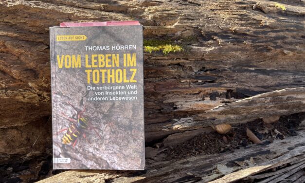 Thomas Hörren – Vom Leben im Totholz