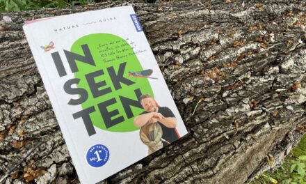 Thomas Hörren – Nature Guide Insekten