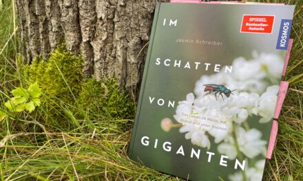 Jasmin Schreiber – Im Schatten von Giganten