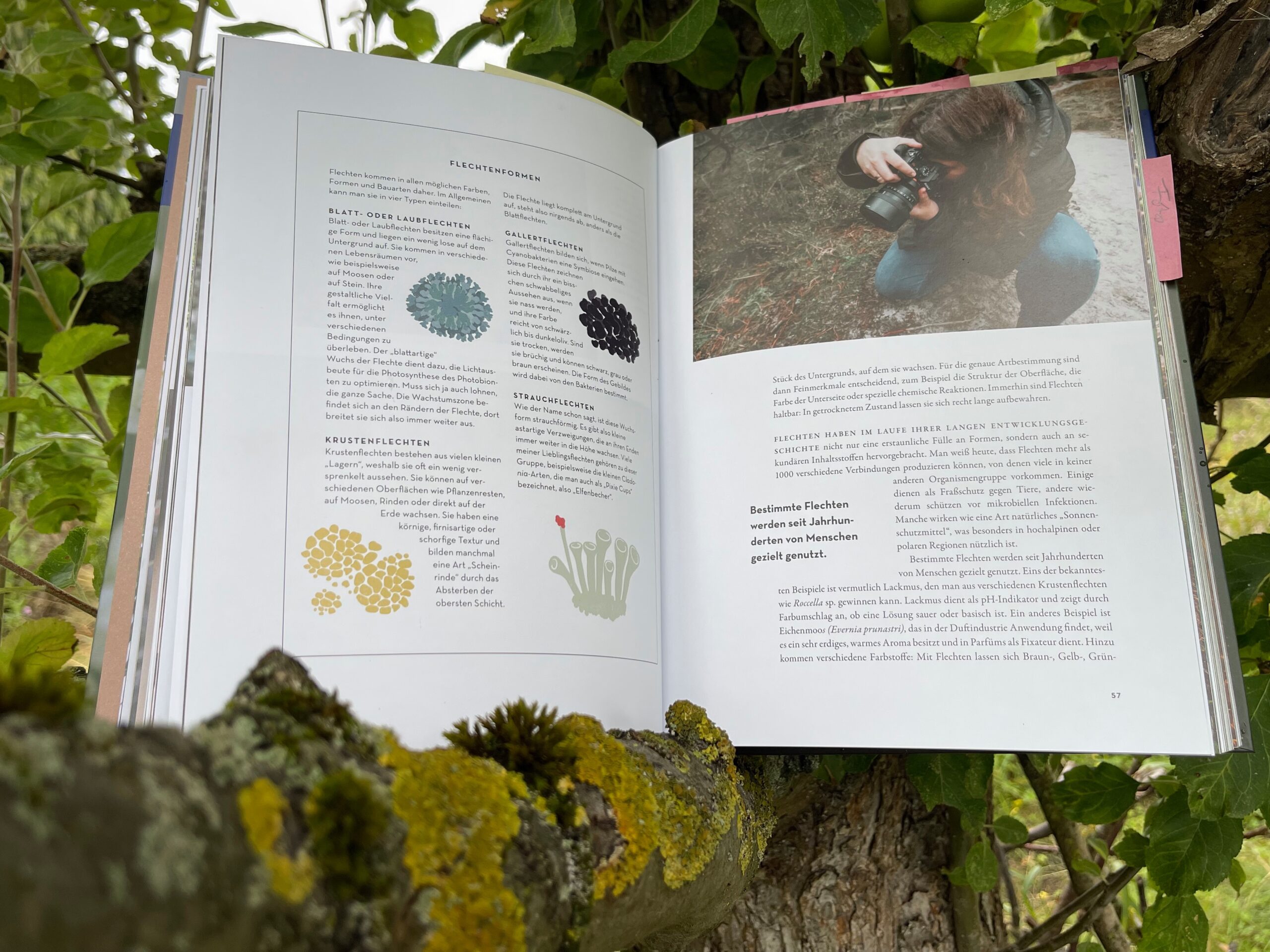 IMG_0608 Flechten im Buch