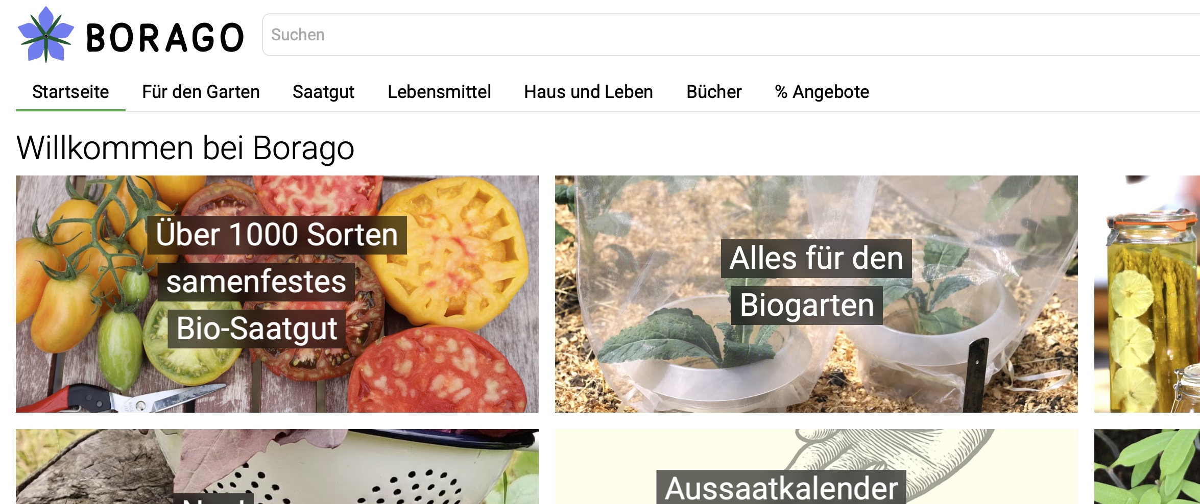 Bild 20.10.25 um 17.28 Screenshot von der Borago-Startseite