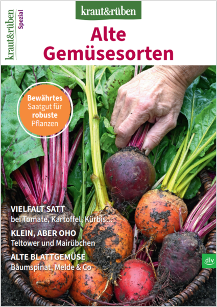 kur_sh_alte_gem_se_neu_ret Cover des Kraut & Rüben Sonderhefts Alte Gemüsesorten