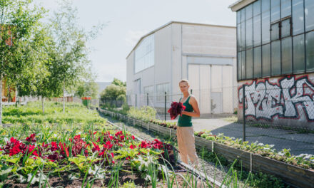 DGMNO #64: Dachgemüse – Wie hoch wollt ihr hinaus?