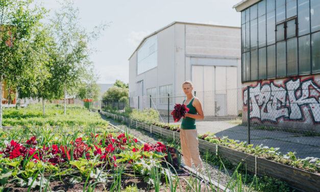 DGMNO #64: Dachgemüse – Wie hoch wollt ihr hinaus?