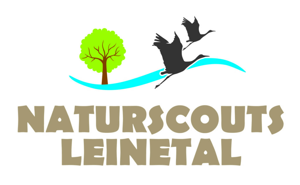 Das Bild zeigt das Logo des Naturscouts Leinetal e.V.