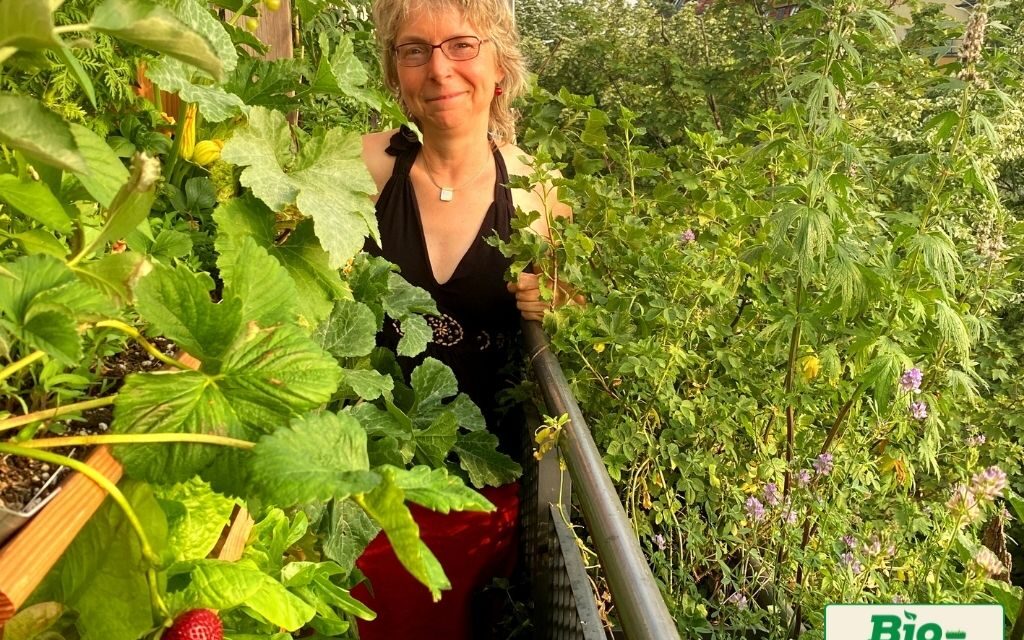 DGMNO #65: Bio-Balkon Birgit Schattling – Tust du was du liebst?