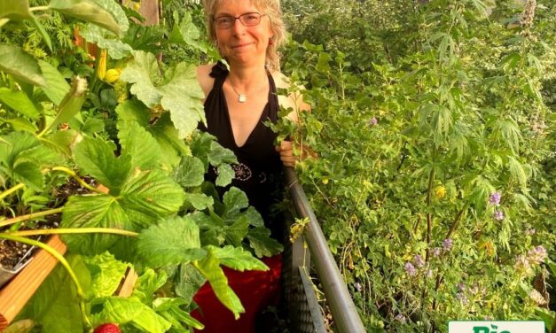 DGMNO #65: Bio-Balkon Birgit Schattling – Tust du was du liebst?
