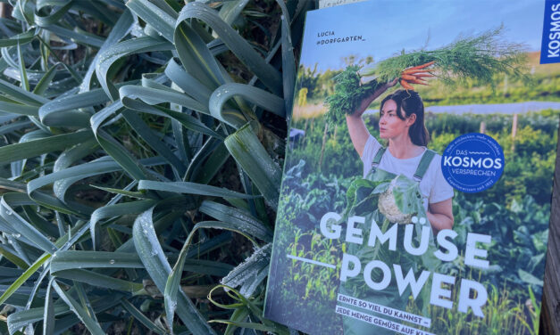 Lucia von @Dorfgarten_: Gemüsepower