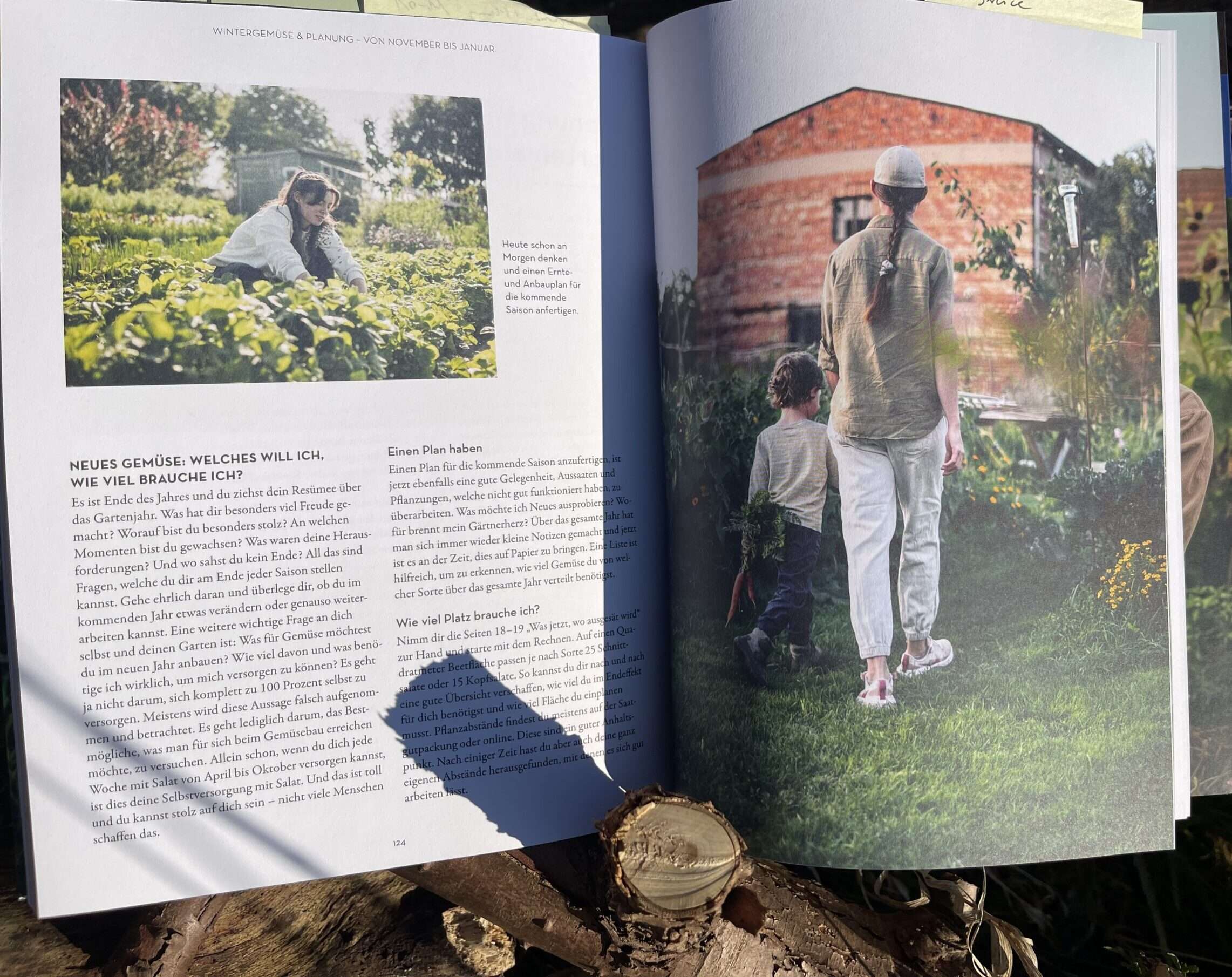 Eine Beispielseite aus dem Buch Gemüsepower