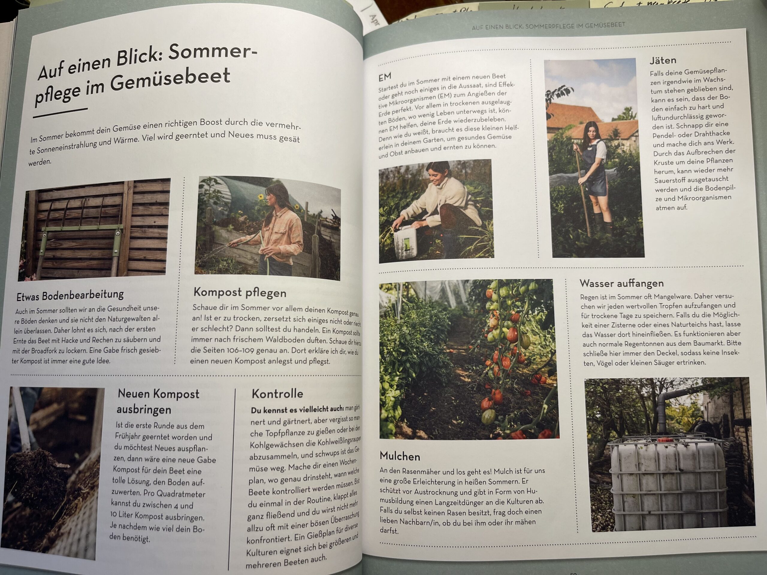 Beispielsweise: Sommerpflege im Gemüsebeet