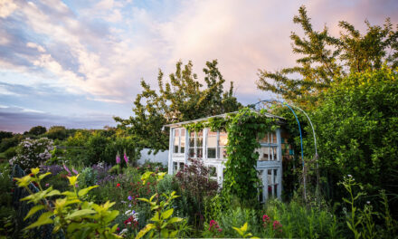 DGMNO #70: Der kleine Horrorgarten – Alles Rock´n Roll zwischen Blumen und Kohl?