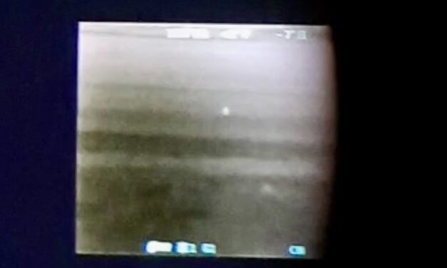 Rebhuhn-Kartierung: verdächtig, verdächtig