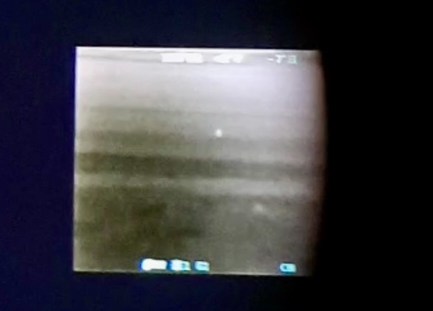 Rebhuhn-Kartierung: verdächtig, verdächtig