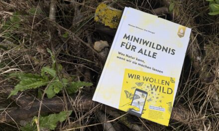 Miniwildnis für alle