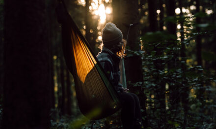 DMGMO 78: Hannah Assil – Wie spricht man Wald?