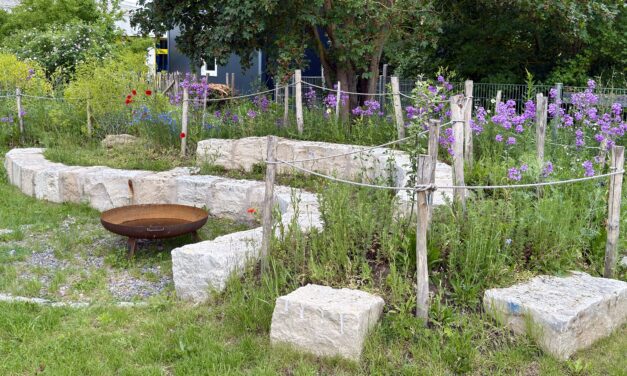 DGMNO 80: Caroline Probst – Wie viel Leben steckt im Naturgarten?